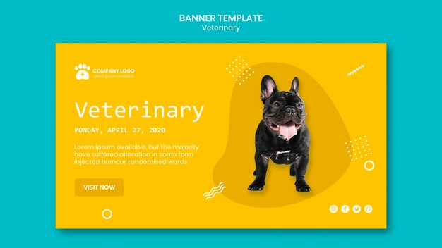Conceito de modelo de banner veterinário