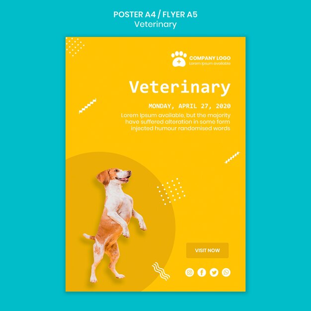 Conceito de modelo de veterinário poste
