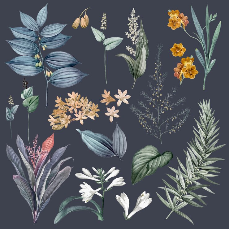 PSD grátis conjunto de ilustrações de flores e plantas