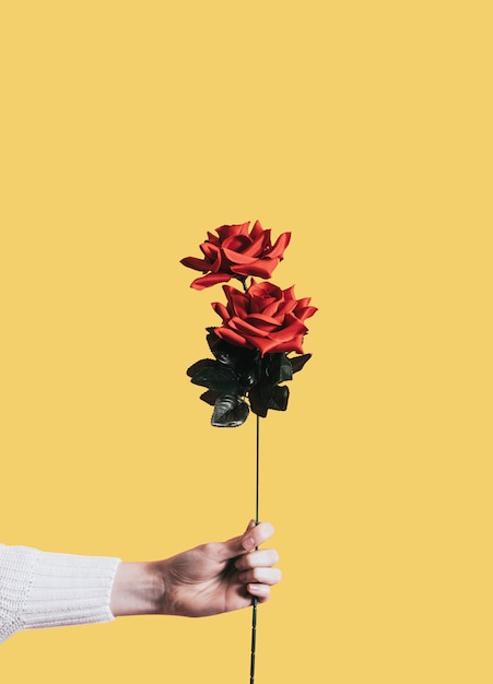 Dando uma rosa para o dia dos namorados