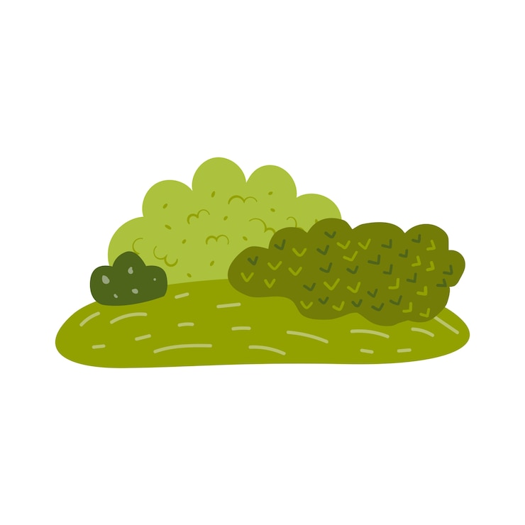 PSD grátis desenho de ilustra??o de bush
