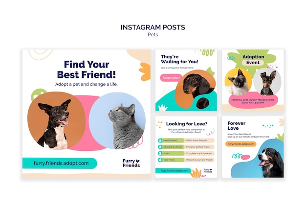 Desenho de modelos de Instagram para animais de estimação