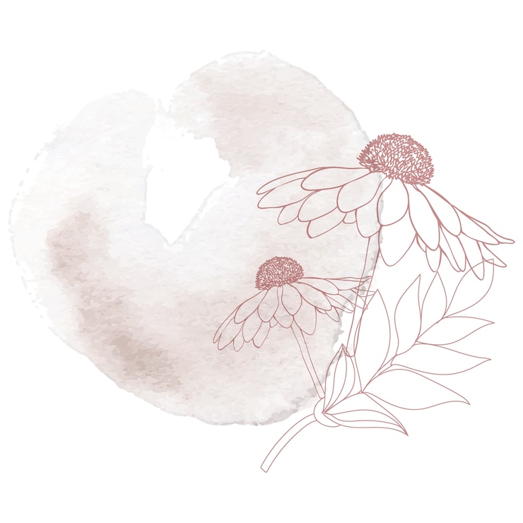PSD grátis desenho de moldura floral a aquarela