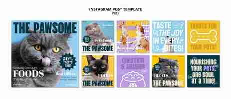 PSD grátis design plano cuidados com animais de estimação postagens de instagram