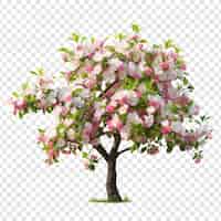 PSD grátis flores de primavera árvore de maçã em flor isolada em fundo transparente