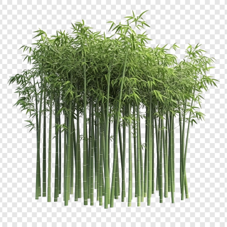 PSD grátis floresta de bambu verde exuberante paisagem natural tranquila serenidade pacífica