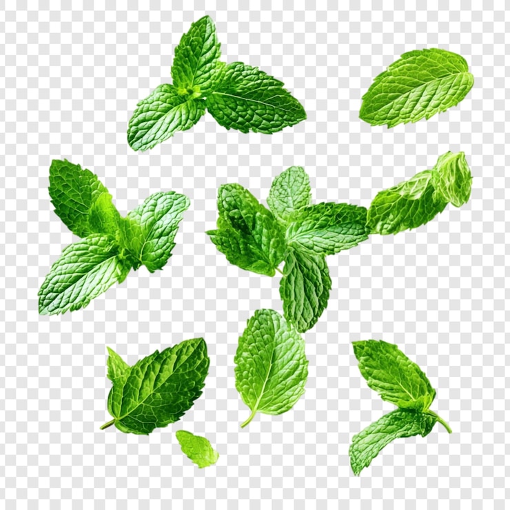 PSD grátis folhas de hortelã verdes vibrantes flutuando sobre um fundo branco