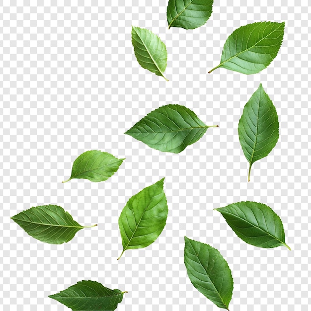 Folhas verdes vibrantes caindo a graça da natureza