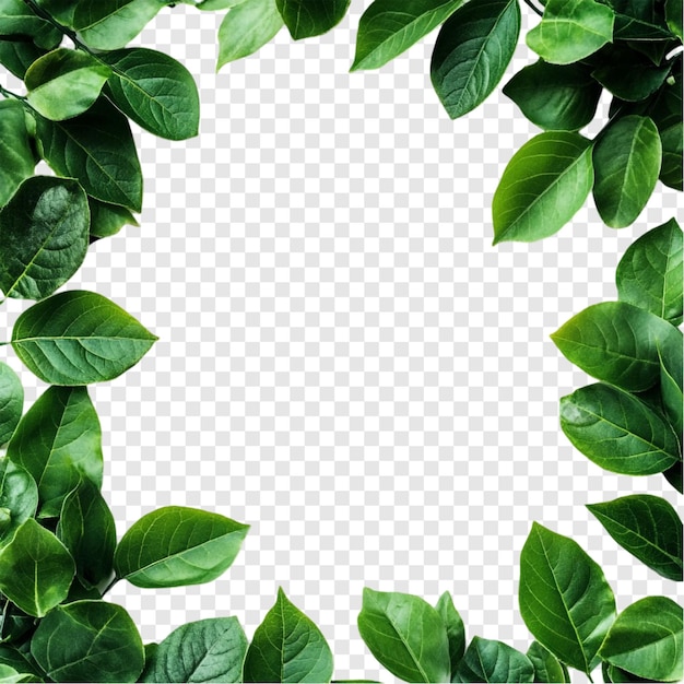 Frame de borda de folha verde vibrante abraça a natureza perfeita para projetos de design