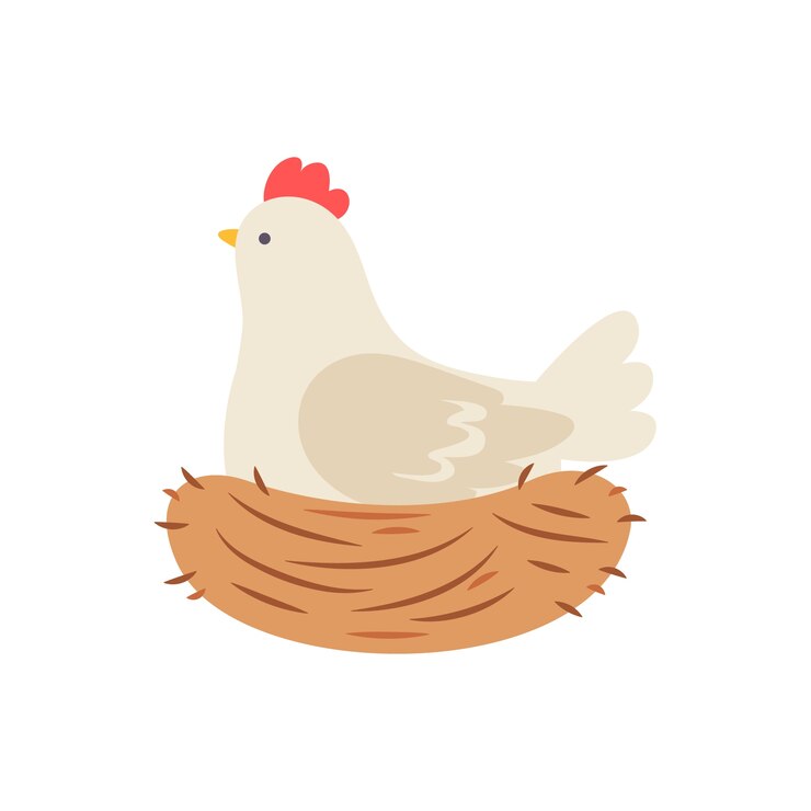 PSD grátis frango isolado de projeto plano