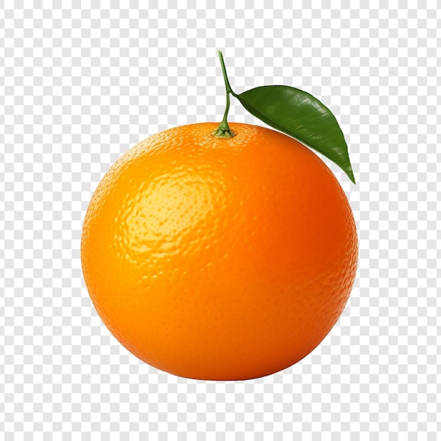 Fruto de laranja isolado sobre fundo transparente