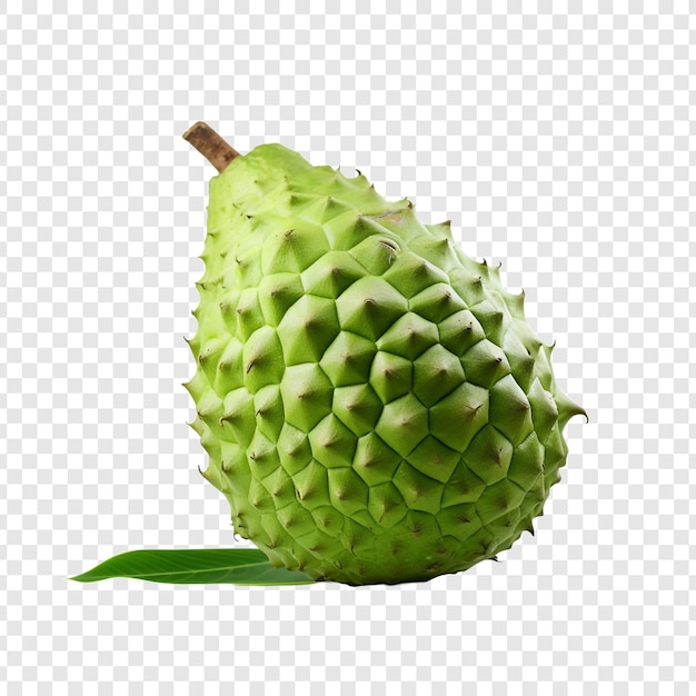 PSD grátis fruto de soursop isolado sobre fundo transparente