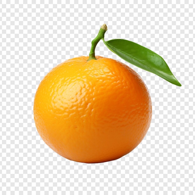 Fruto de tangerina isolado sobre fundo transparente