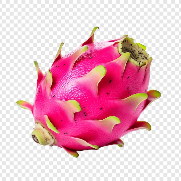 PSD grátis frutos de dragonfruit isolados sobre fundo transparente