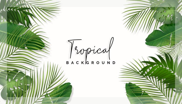 Fundo de lindas folhas tropicais