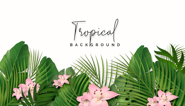 Fundo de lindas folhas tropicais