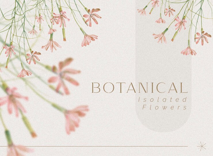 PSD grátis fundo floral com belas flores e folhas isoladas