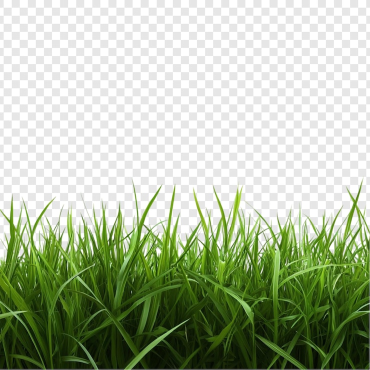 PSD grátis grama verde vibrante fronteira prado exuberante natureza serenidade