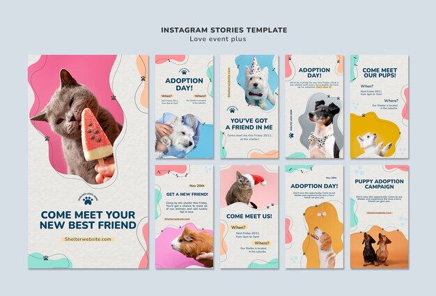 Histórias do instagram de adoção de animais de estimação