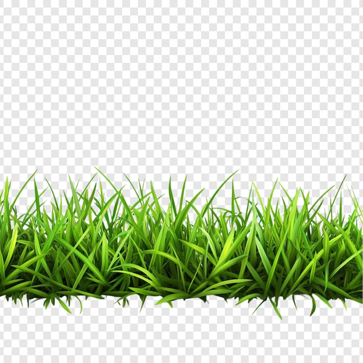 PSD grátis ilustração de fronteira de grama verde vibrante
