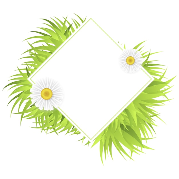 Ilustração de moldura de grama isolada