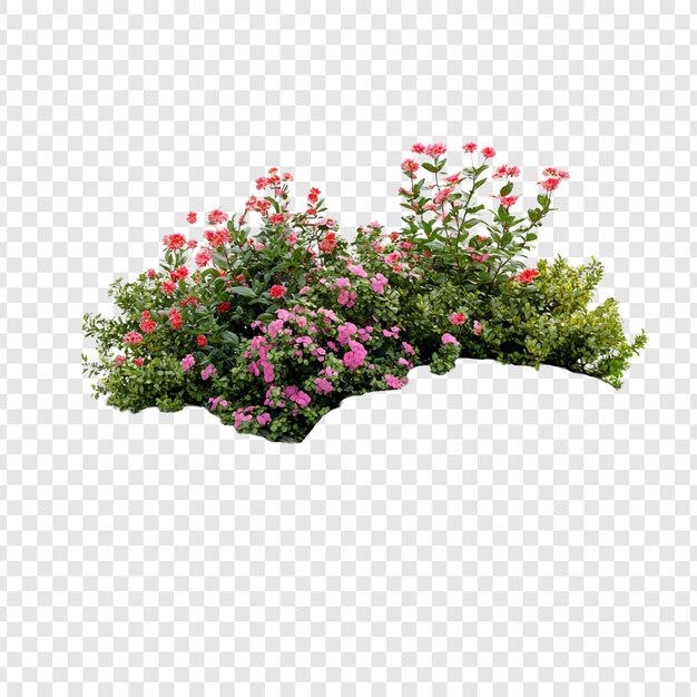 Jardim de flores de primavera vibrante