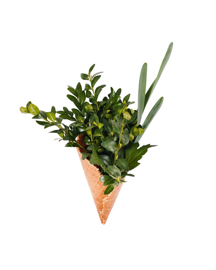 PSD grátis lindas flores isoladas