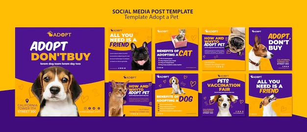 Pet Empire - Pet Shop PSD Template #189848 - TemplateMonster