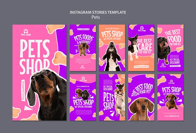 Modelo de animal de estimação de design plano