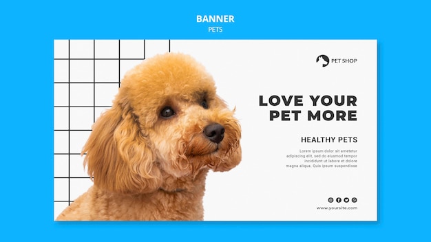 PSD grátis modelo de banner de animais de estimação com foto