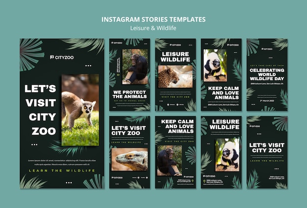PSD grátis modelo de design de histórias do instagram de lazer e vida selvagem