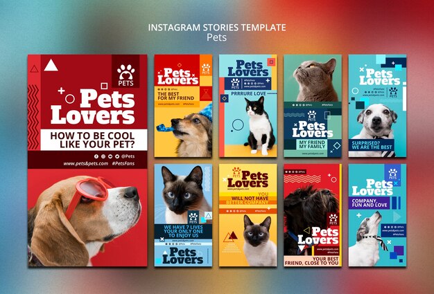 Modelo de design plano para animais de estimação