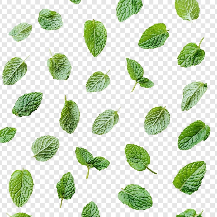 PSD grátis modelo de folhas de hortelã verde vibrante