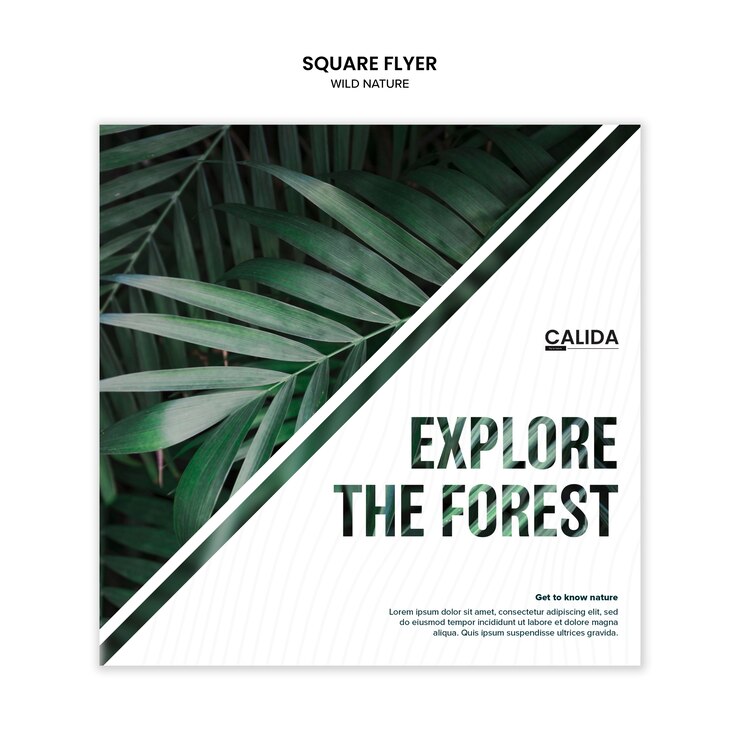 PSD grátis modelo de folheto quadrado criativo natureza selvagem