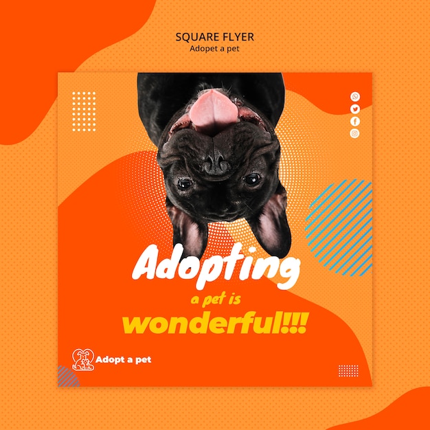 Modelo de folheto quadrado para adoção de animais de abrigo