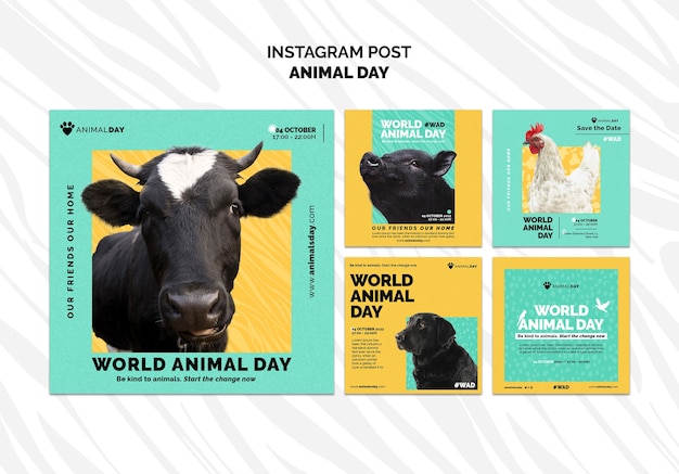 PSD grátis modelo de instagram de dia mundial dos animais de design plano