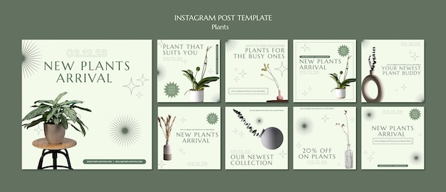 Modelo de plantas de design plano