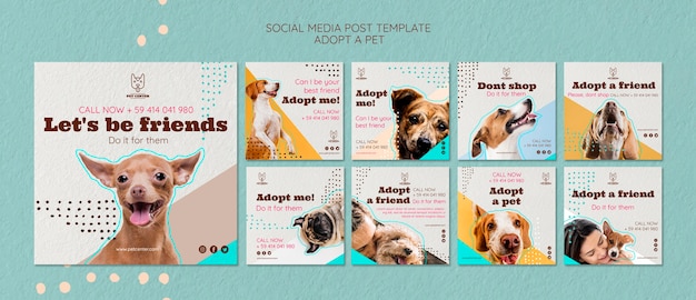 Modelo de postagem de mídia social com adoção de animais de estimação