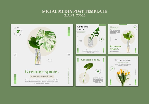 Modelo de postagem de mídia social para loja de plantas