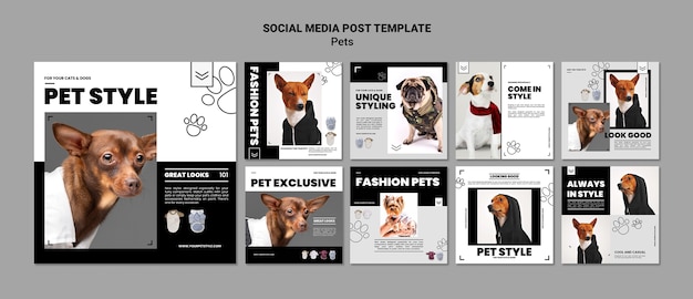 Modelo de postagem do instagram para catálogo de produtos de design plano