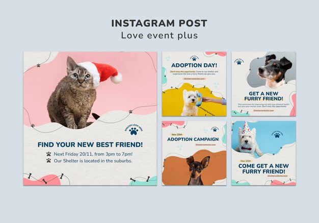 Modelo de postagens do instagram de adoção de animais de estimação