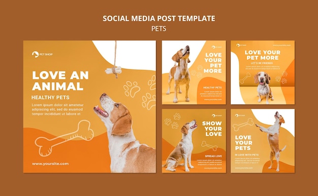 PSD grátis modelo de postagens do instagram para pet shop