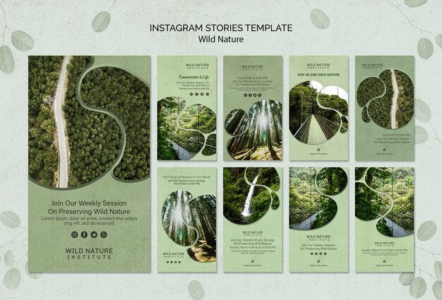 Modelo do conceito de natureza selvagem de histórias do Instagram