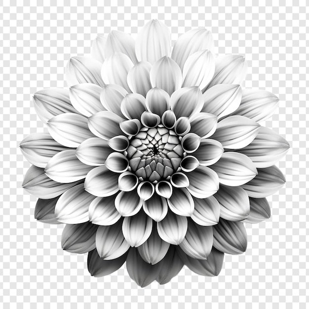 PSD grátis mosaico de flores preto e branco isolado em fundo transparente