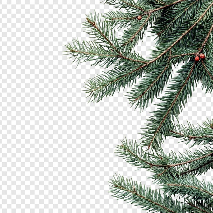PSD grátis natal ramos de pinheiros sempre verdes festa de inverno verde decoração de férias