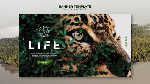 PSD grátis natureza selvagem lindos olhos verdes amarelos de um modelo de banner de tigre