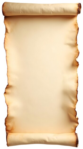 Papel de pergaminho enrolado realista isolado