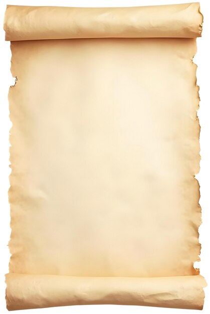 Papel de pergaminho enrolado realista isolado