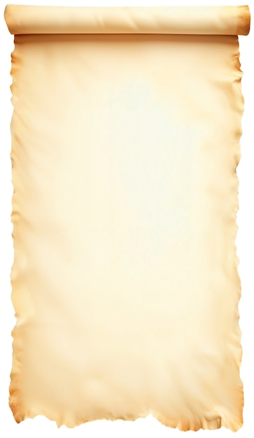 Papel de pergaminho enrolado realista isolado