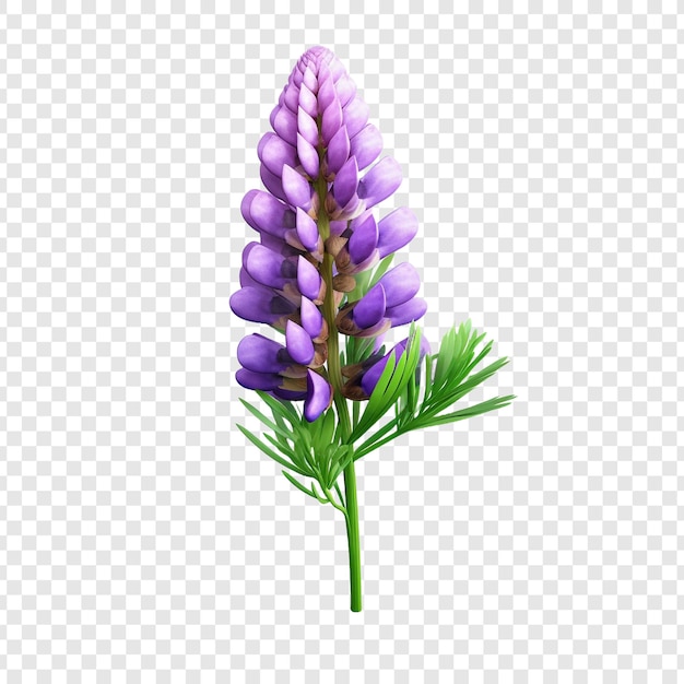 PSD grátis png de flor de lúpio isolado em fundo transparente